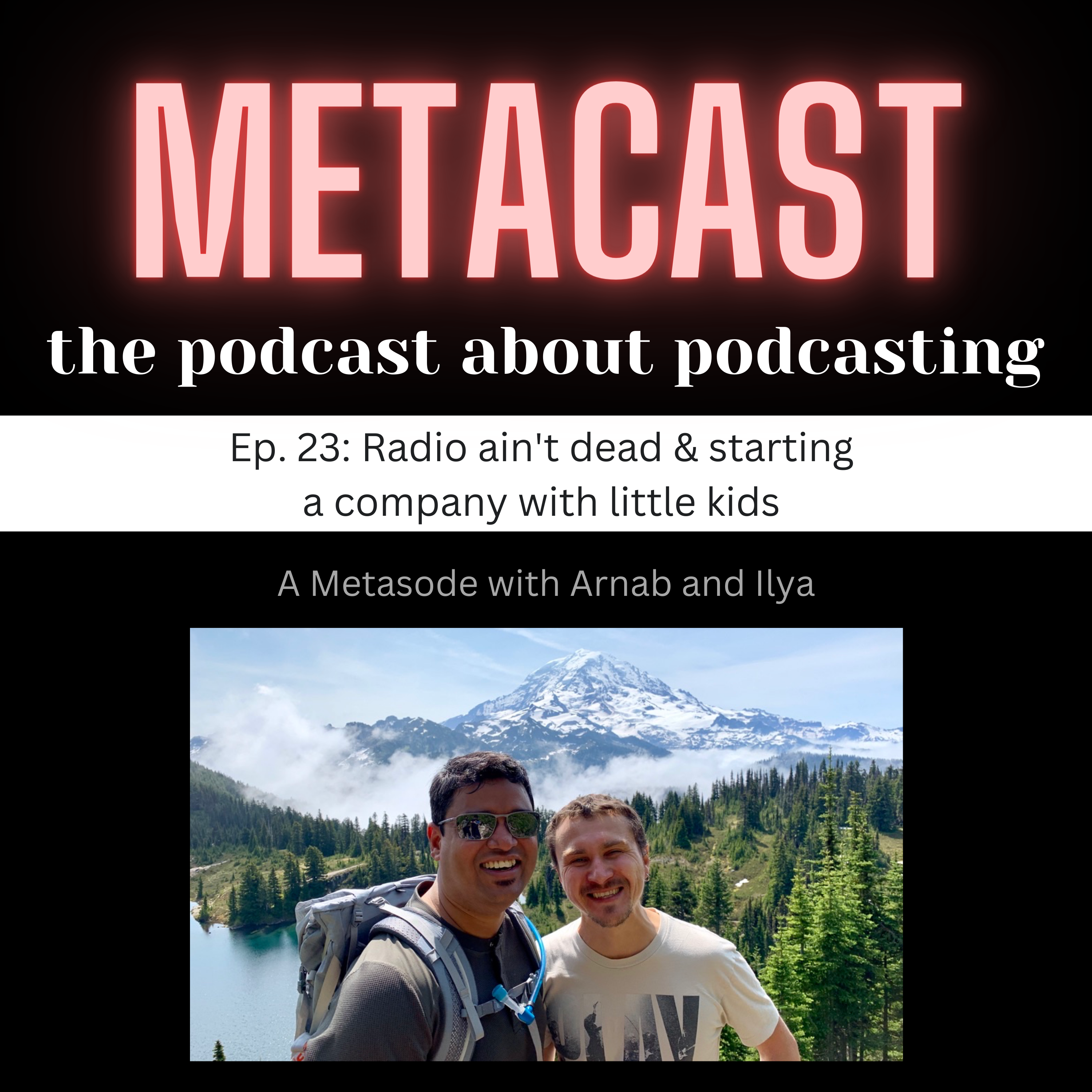 Metacast: Behind the scenes